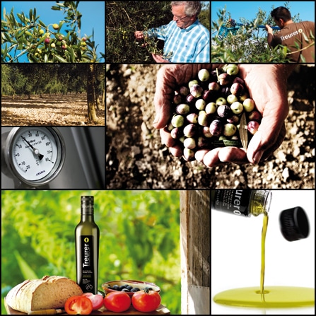 Olivenöl, Mallorca, Treurer, ELEA Hannover