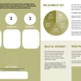 01 Olivenöl Probier- und Geschenkset 3 x Olivenöl wechselnd aus Kreta, Italien, Spanien, Frankreich – Bild 7