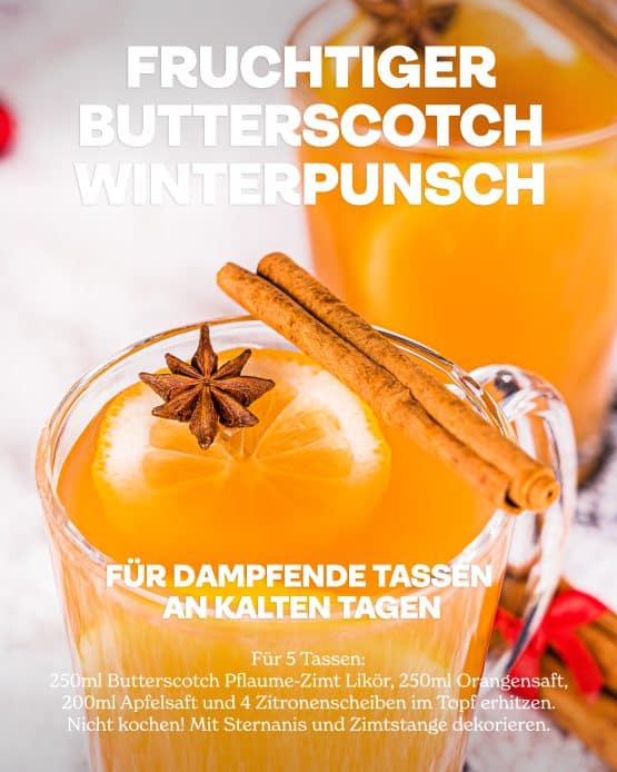 Christmas-Edition-Butterscotch Pflaume-Zimt 0,5L, 20% – Bild 4